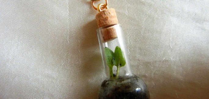 Aprenda a fazer uma mini estufa e ande com a natureza onde quiser!