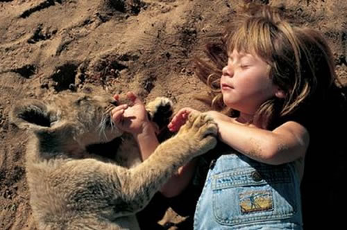 tippi-degre-special-bond-with-animals